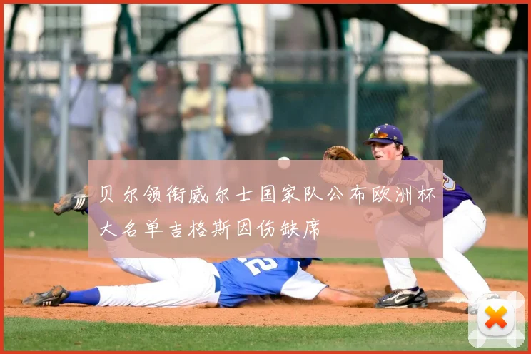 贝尔领衔威尔士国家队公布欧洲杯大名单吉格斯因伤缺席