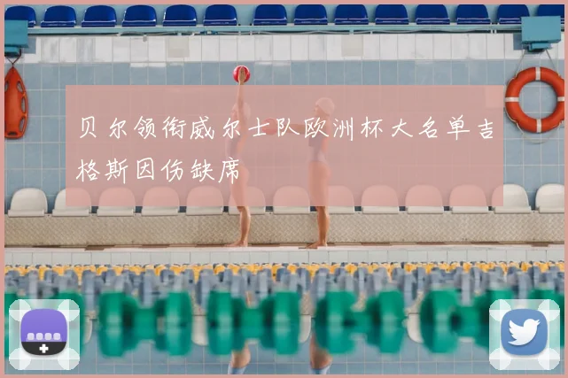 贝尔领衔威尔士队欧洲杯大名单吉格斯因伤缺席