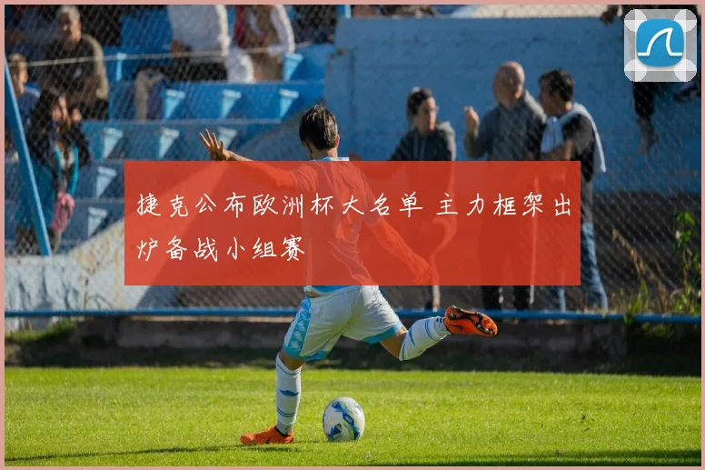 捷克公布欧洲杯大名单 主力框架出炉备战小组赛