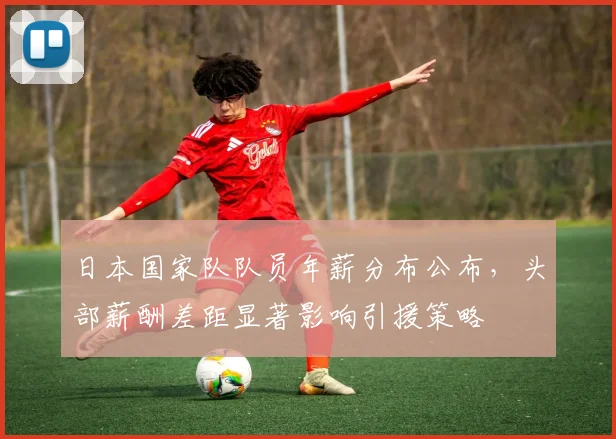 日本国家队队员年薪分布公布,头部薪酬差距显著影响引援策略