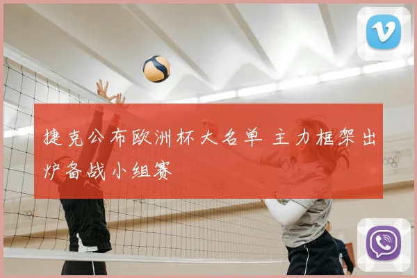 捷克公布欧洲杯大名单 主力框架出炉备战小组赛